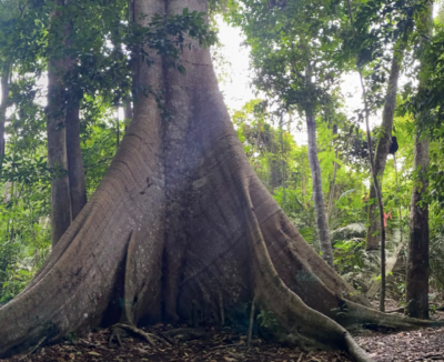  image linking to "Curiosity, feminist analysis and collective sensemaking": New strategic plan from APC's Women's Rights Programme