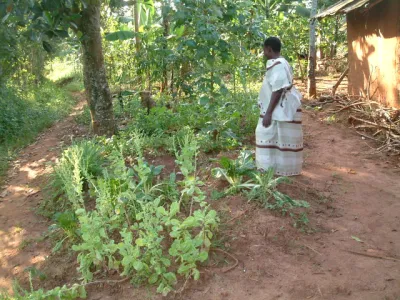 Photo: Female telecentre user from rural Uganda. image linking to Telecentres in Uganda do not appeal to rural women