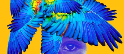  image linking to Derechos Digitales: cómo nos vigilan 