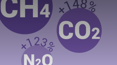  image linking to Guía para una internet eco-amigable 