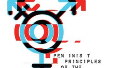 image linking to Principios feministas para internet versión 2: cuando la evolución es la constante