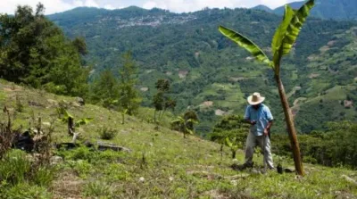 image linking to Community Networks and Local Access Monthly Newsletter - Number 1