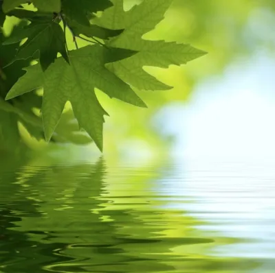  image linking to New materials on the environment and ICTs available in French and Spanish